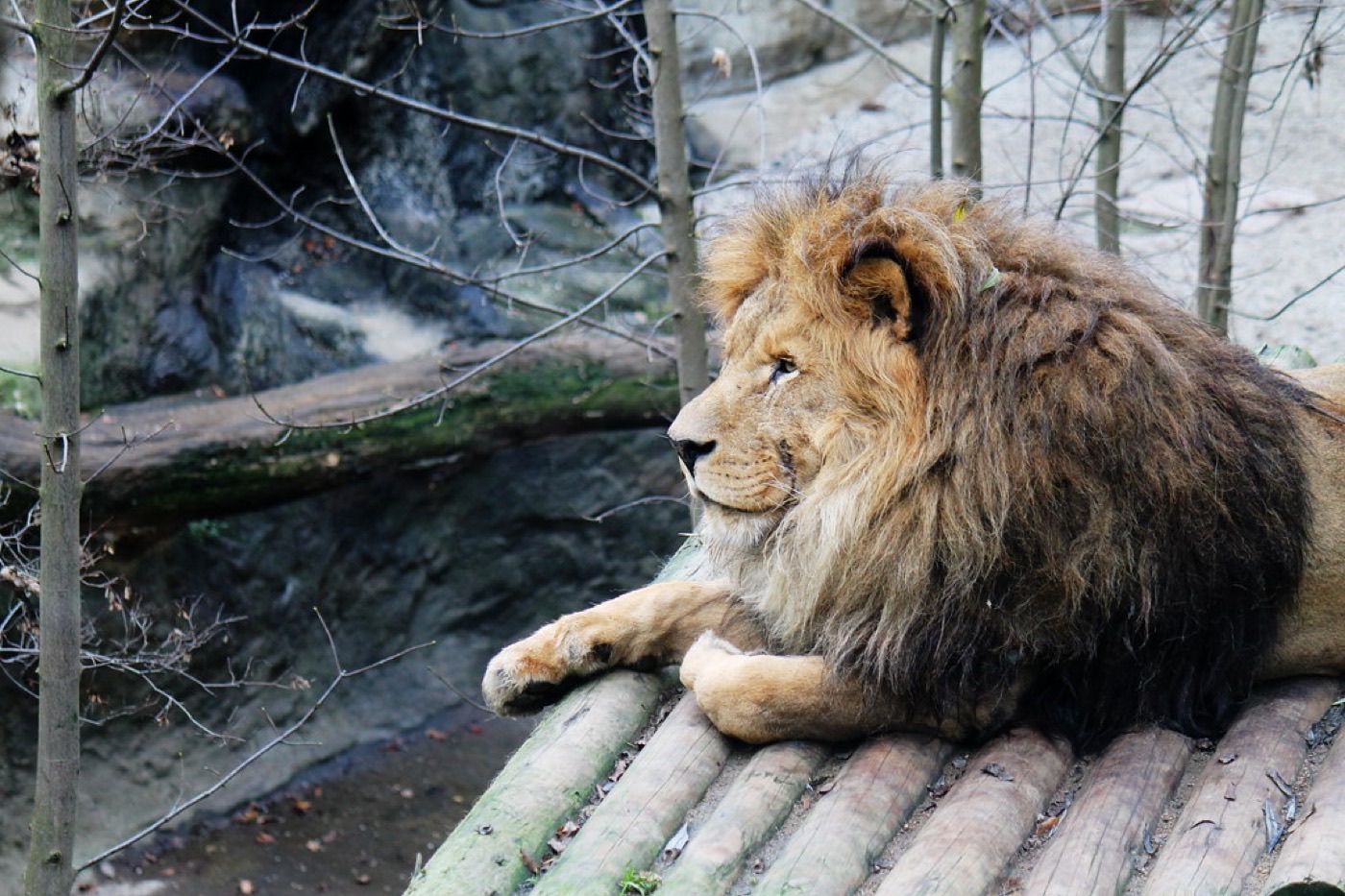 ZOO Liberec