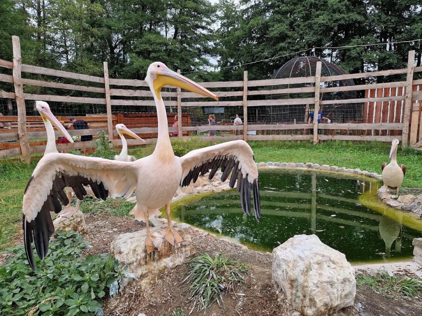 Zoopark Berousek Doksy